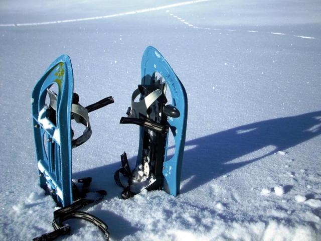  Snowshoeing 